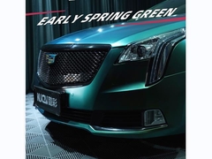 TPU - Món xanh xuân sớm (lấp lánh)